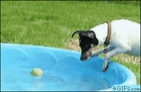 Si7X4.gif