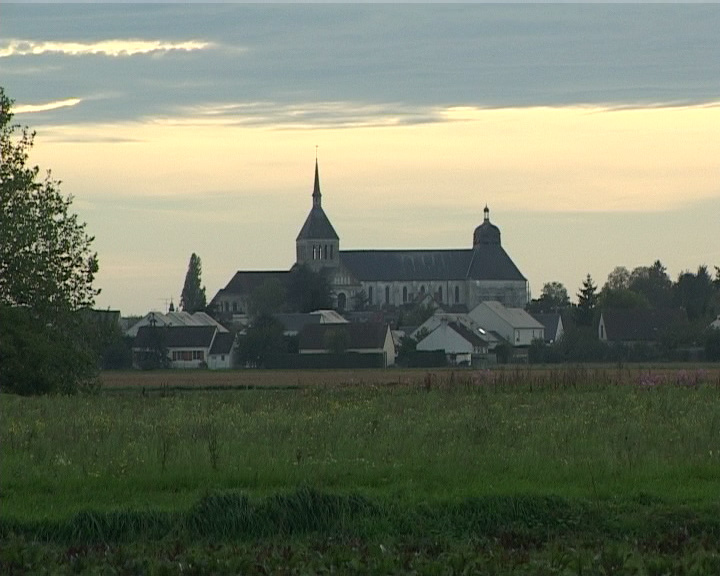 Abbaye_de_Saint-Beno%C3%AEt-sur-Loire_1.jpg