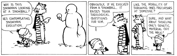 Evolution.gif