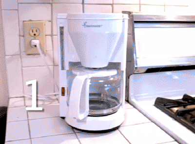 gay02.gif