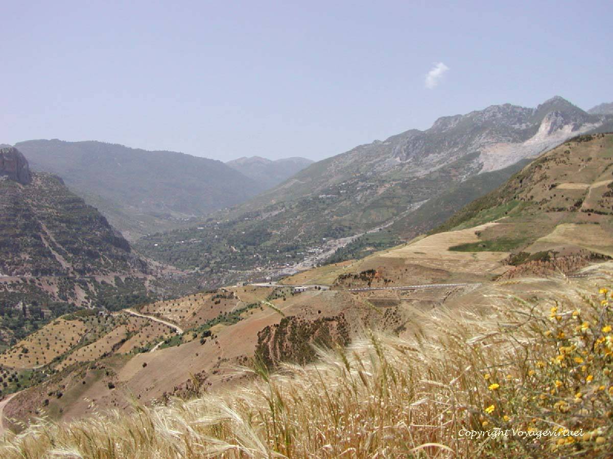 rif29.jpg