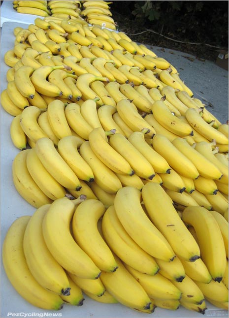 gfwhistler11-bananas.jpg