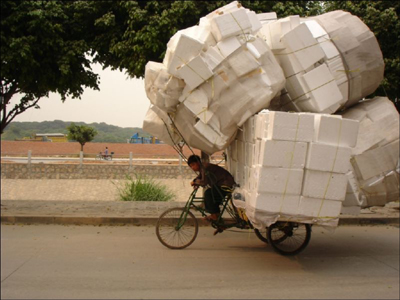 ra3scjumn4olhx5672y1pq90fegbdwkizt8v_funny_bike.jpg