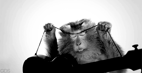 gifs_19.gif