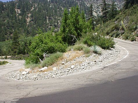 P6250046baldy.jpg