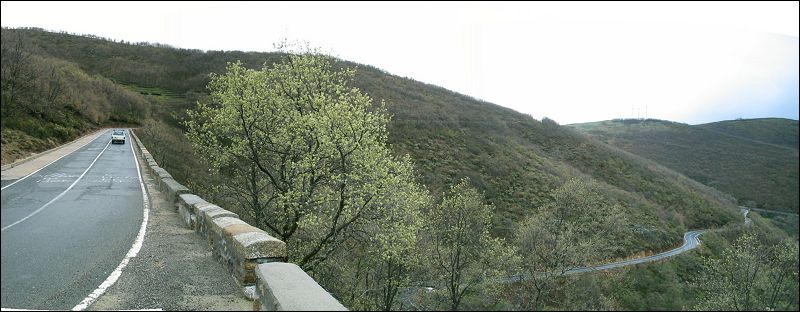 tornavacasS01.jpg