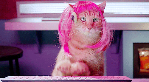 gifs_01.gif