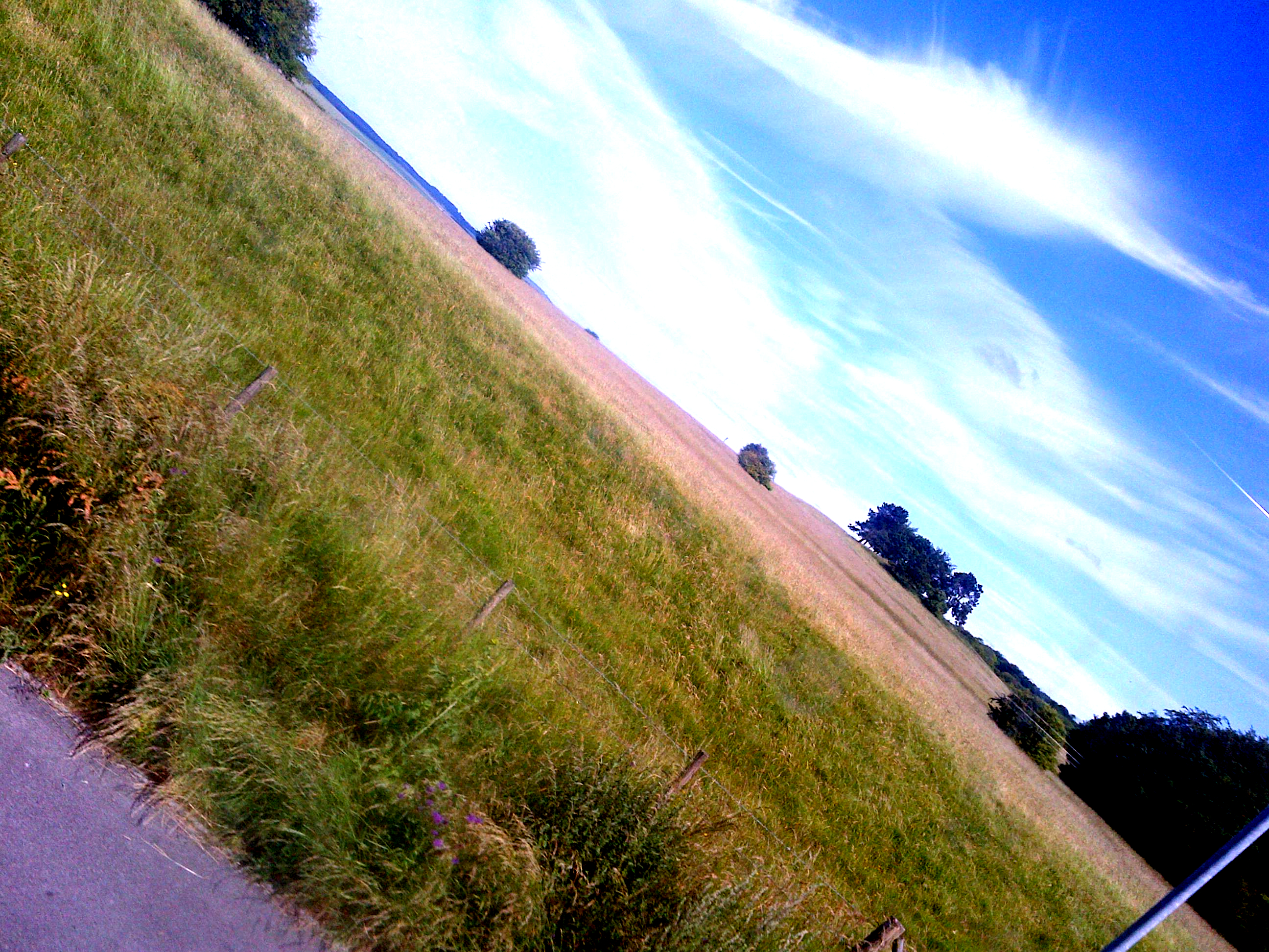 tilted-landscape-1.jpg
