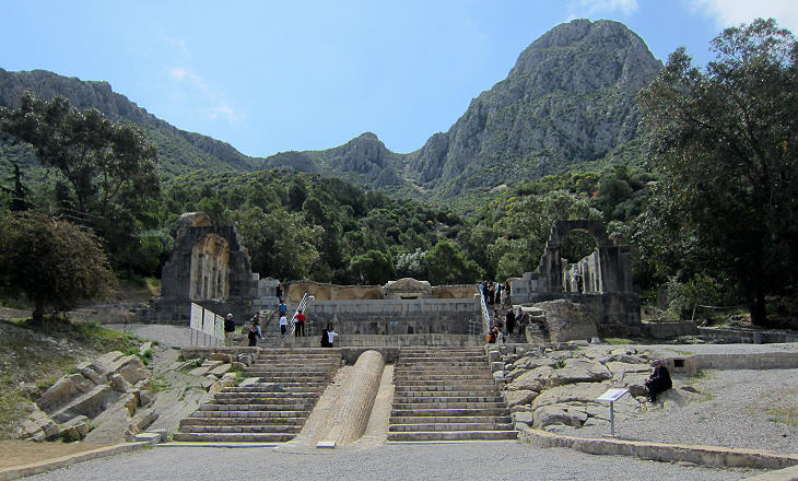 Ziqua04.jpg