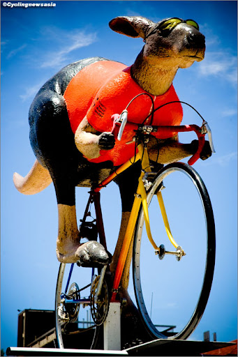 tdu10st06-roo.jpg