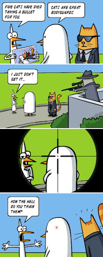 7941.jpg