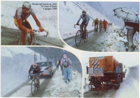 Gavia1988.jpg