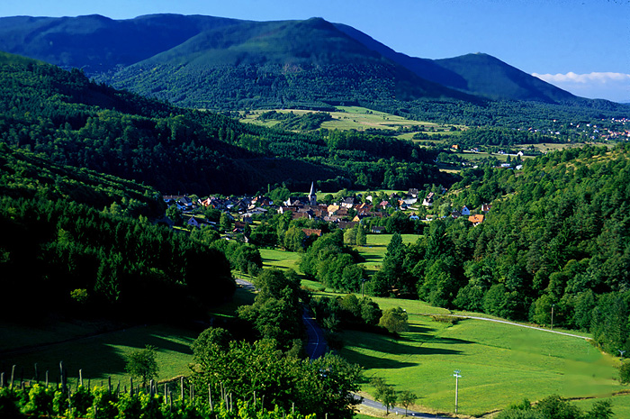 route_des_vosges_centrales_1.jpg