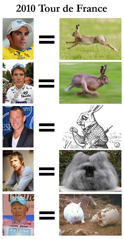 rabbits.jpg