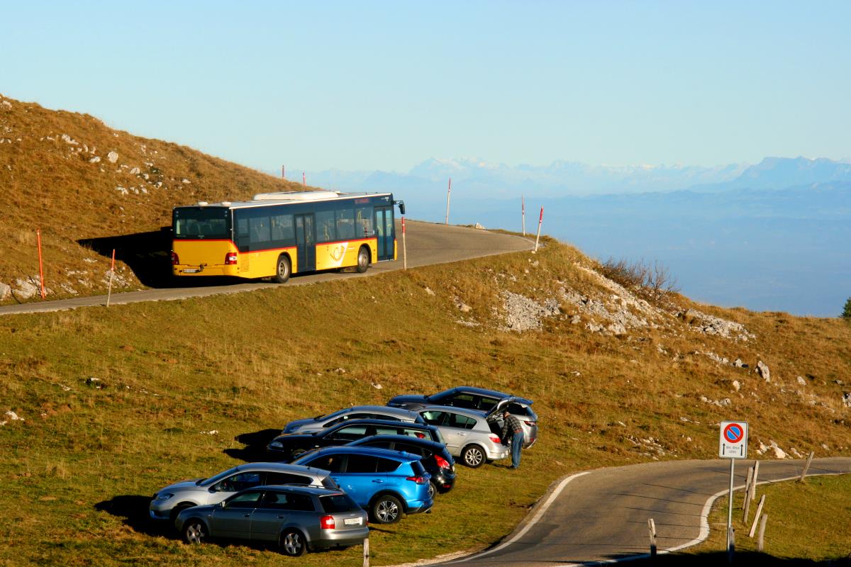 man-lions-city-postauto-auf-143686.jpg