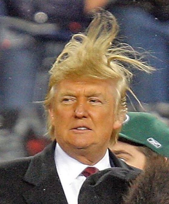 donald.jpg