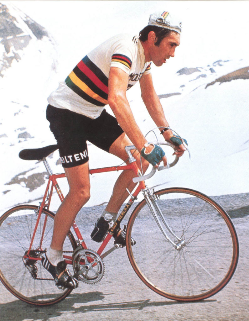eddy-merckx-world-champion-795x1024.jpg