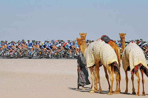 pyz012qat20102757_600.jpg