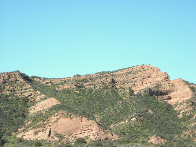 DSCN0339.JPG