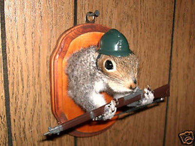 army-squirrel.jpg