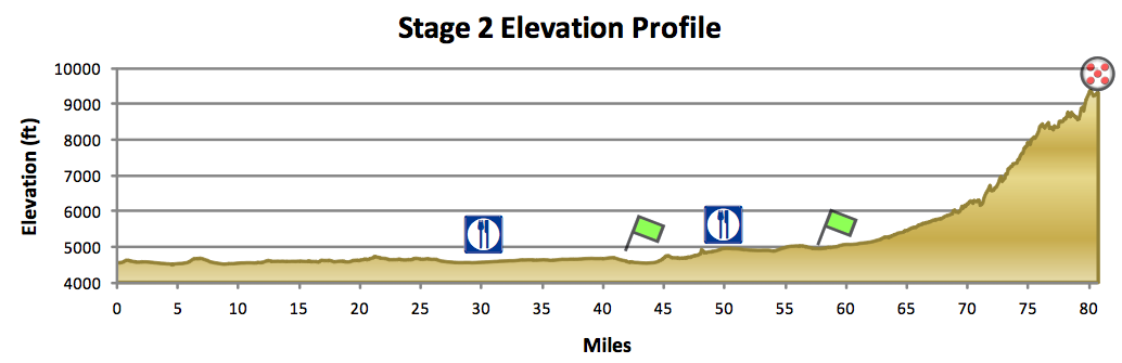 profile-2.png