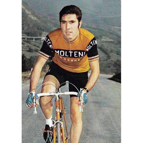 molteni-wool-cycling-jersey.jpg