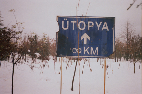 tumblr_loen219m6u1qgn4y4o1_500.jpg