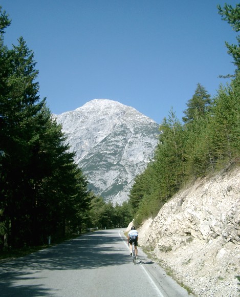 buchenc.jpg