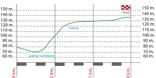amstelcaubergprofile.jpg