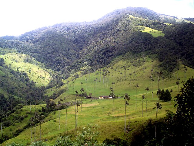 640px-Cocora_valley.JPG