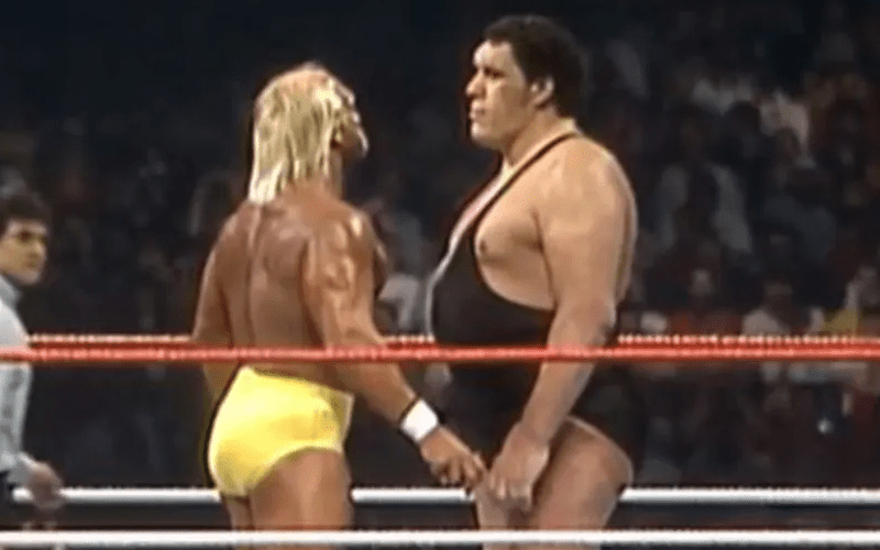 hulk-vs-andre-24.png