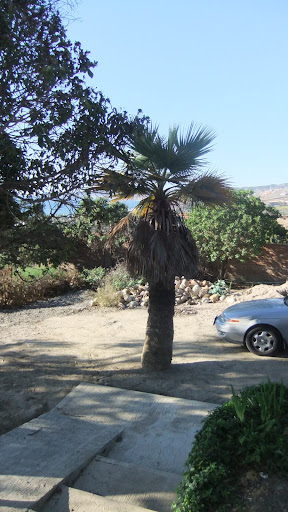 DSCF3006.JPG
