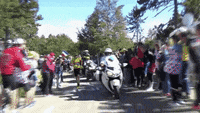 200w.gif