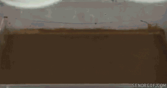 gifs_10.gif