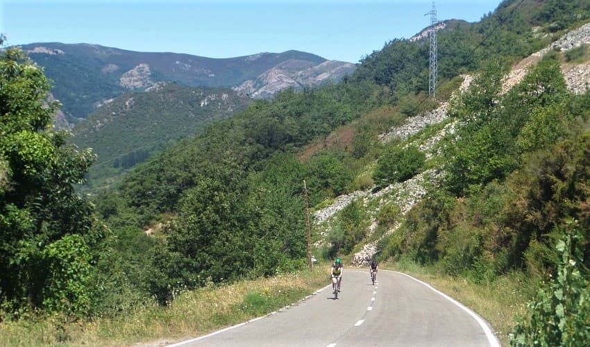 www.cyclefiesta.com