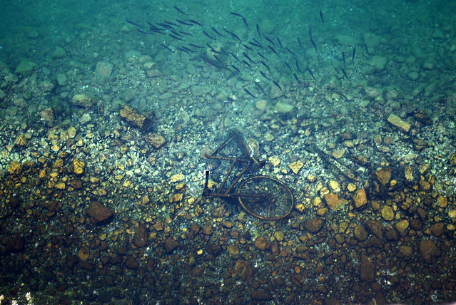 6115569113_1c74c53605_z.jpg