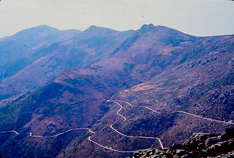 44a.jpg