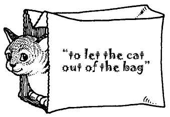 bag-cat.png