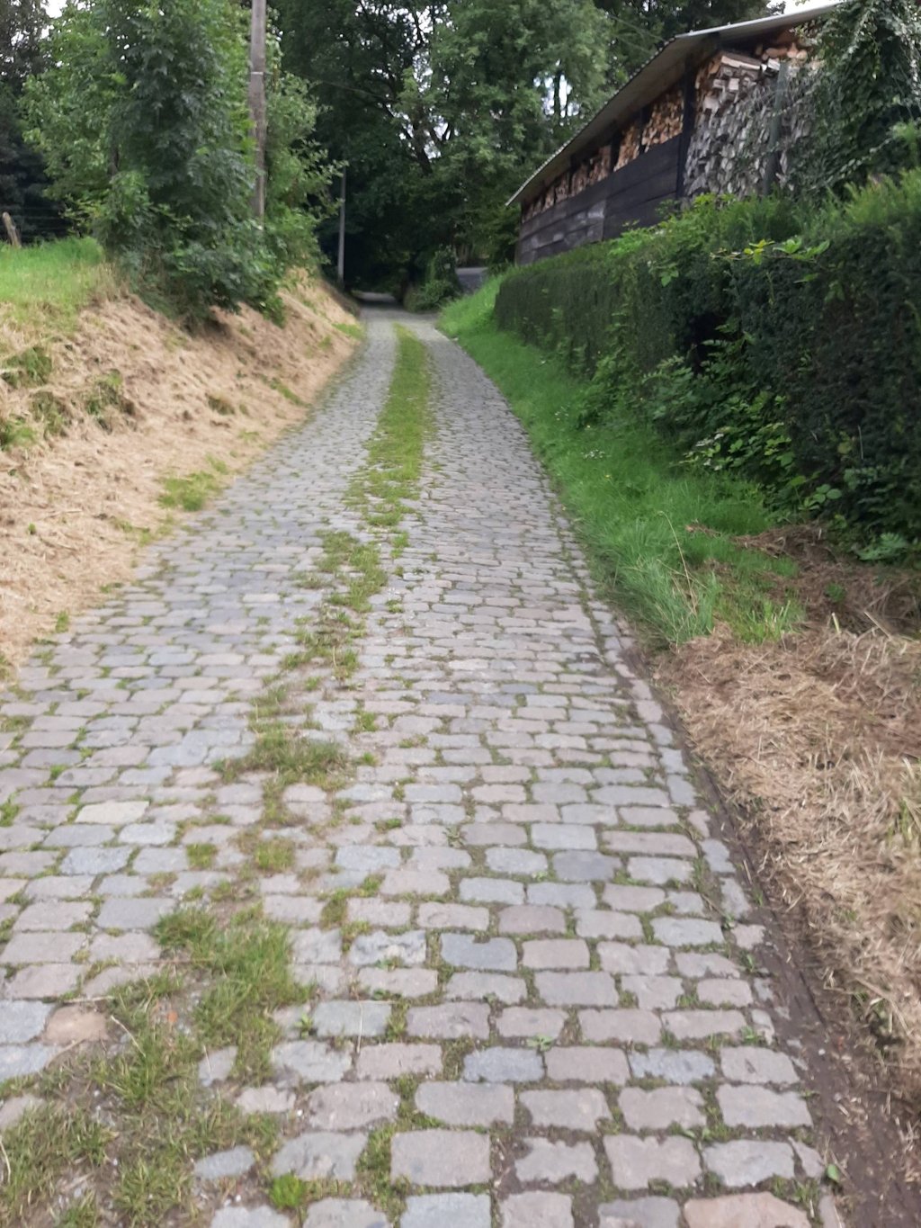 laarheide-rollebeekstraat-beersel-upload-14290-1024x0.jpg
