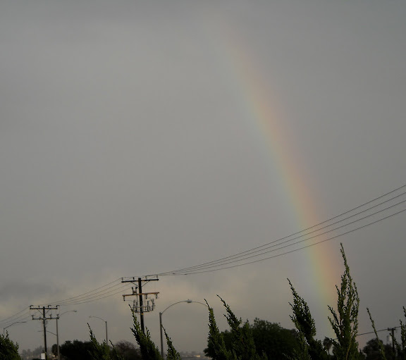 DSCN0314.JPG
