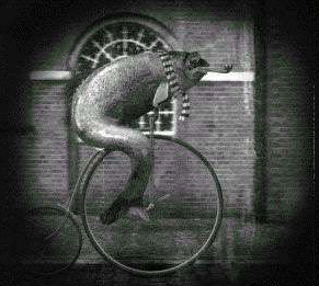guinfoab2.GIF