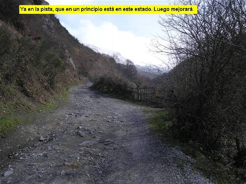 _wsb_500x374_vegarada018.jpg
