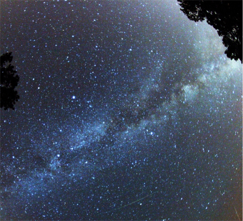 Perseid_Meteor.jpg