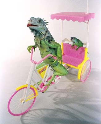 lizard-bike.jpg