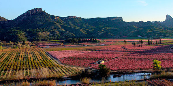 40_cieza-murcia.jpg