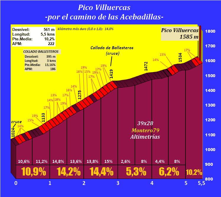 picovilluercasporlasacebadillasperfil.png