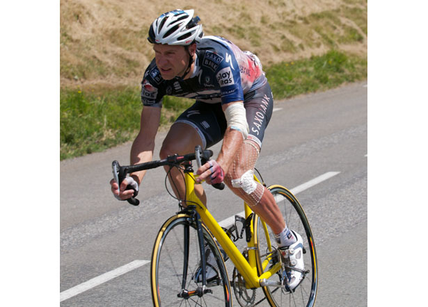 TDF10_stg16_voigt.jpg