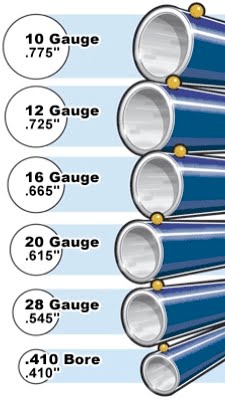 Shotgun%2BBore%2BSizes.jpg