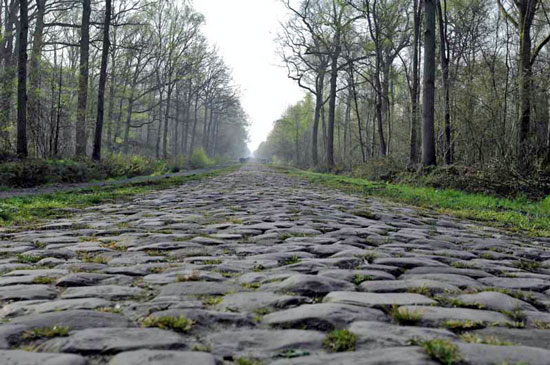 Arenberg+Forest.jpg