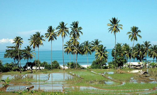 Pelabuhan-Ratu-Beach-sukabumi.jpg